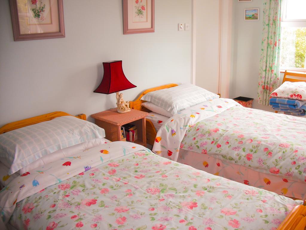 The Well Meadow B&B Nenagh Habitación foto
