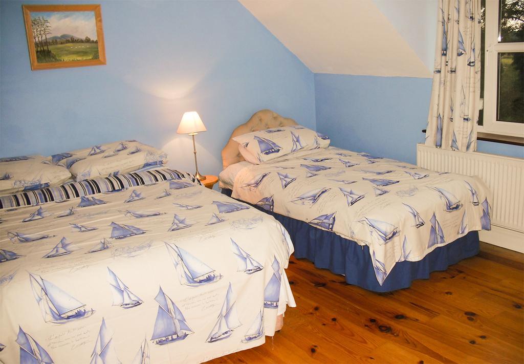 The Well Meadow B&B Nenagh Habitación foto