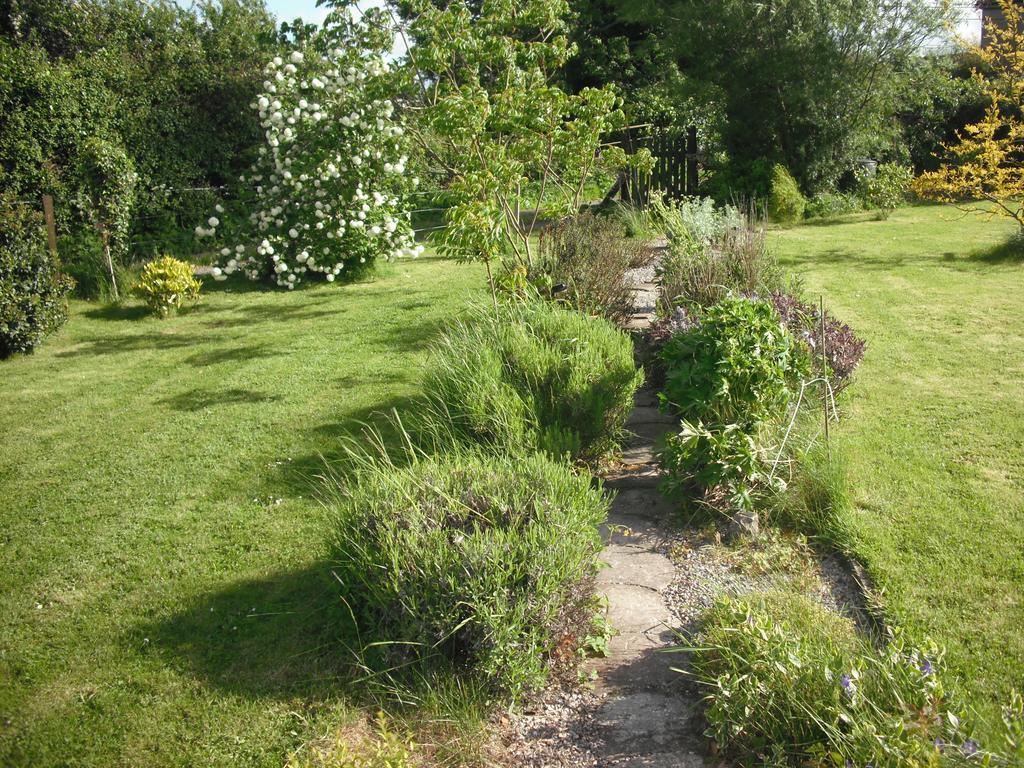 The Well Meadow B&B Nenagh Habitación foto